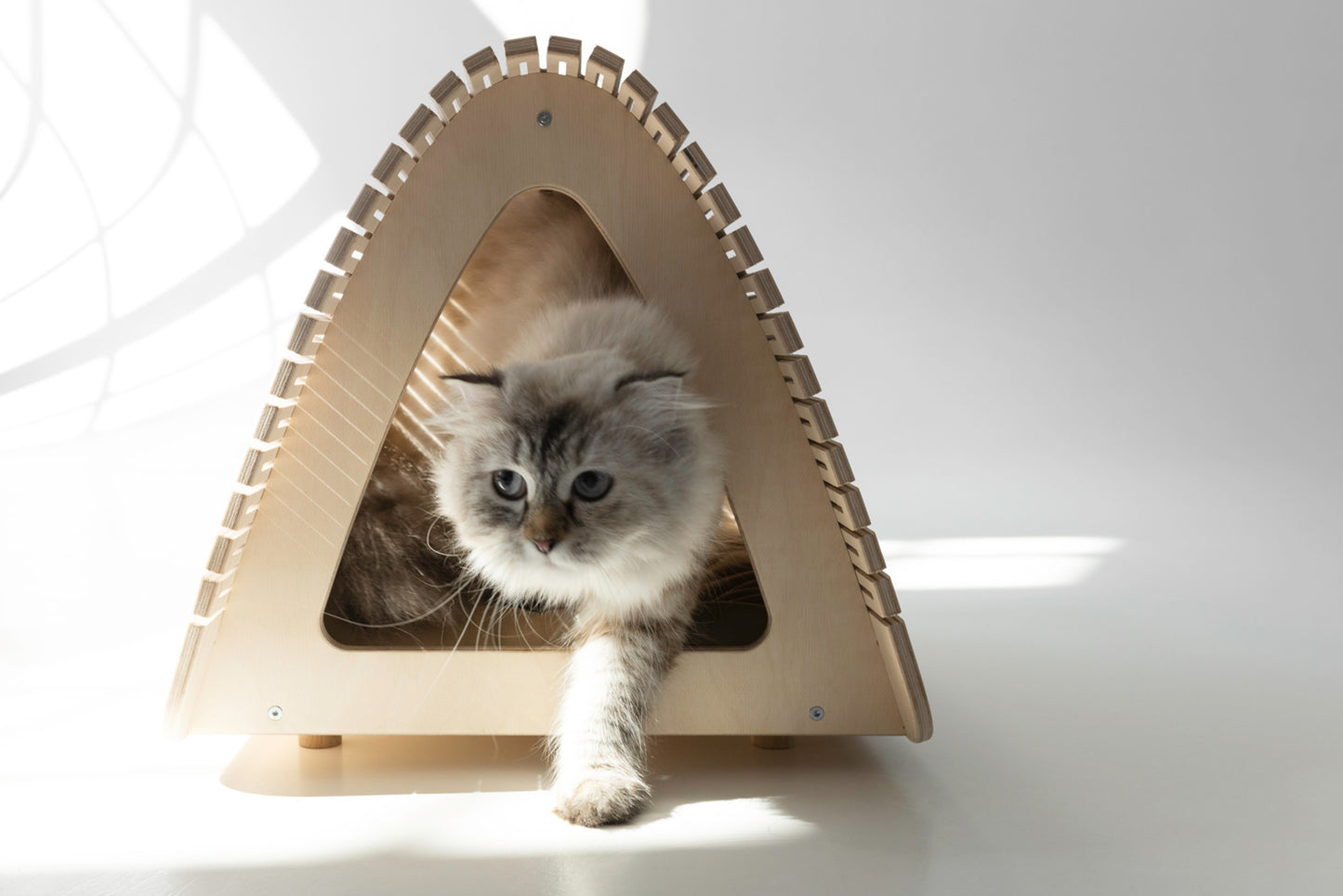 A cozy house for your pet. Cats Dogs Condo & Bed & House