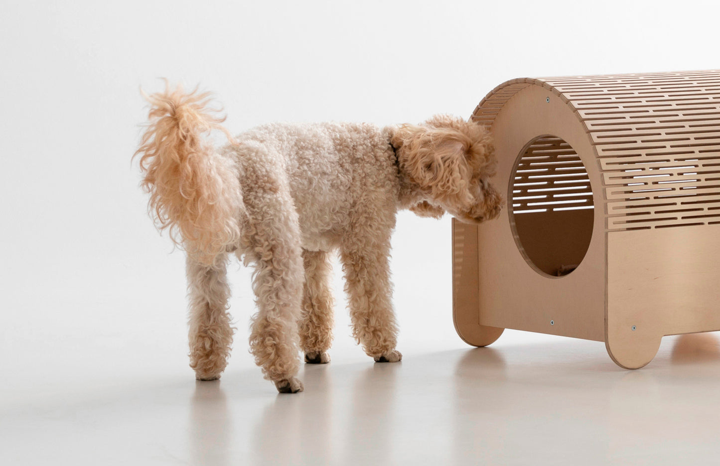 A cozy house for your pet. Cats Dogs Condo & Bed & House